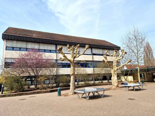 Schulsozialarbeit Weingarten